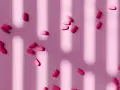 Pastillas rosas esparcidas, algunas con la inscripción "44-329". ¿Paracetamol o ibuprofeno para la regla?