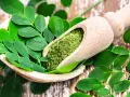 Cuchara de madera con polvo de moringa y hojas frescas. Descubre los moringa beneficios para la mujer, un tesoro natural.