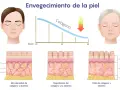 Gráfico muestra cómo disminuye el colágeno con la edad. ¿A qué edad se puede tomar colágeno? A partir de los 20 años, la piel pierde colágeno.