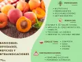 Albaricoques frescos y jugosos, destacando sus propiedades nutritivas, energizantes y antioxidantes. Beneficios para la vista, cabello, anemia y sistema inmune.