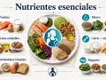 El magnesio es clave para la salud femenina. La imagen muestra alimentos ricos en magnesio como espinacas, almendras, semillas y chocolate negro.
