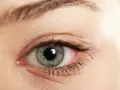 Ojo con iris gris verdoso y finas arrugas debajo de los ojos, que cuentan historias.