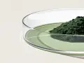 Polvo verde oscuro de espirulina y chlorella en una placa de Petri con líquido verde. Descubre para qué sirve la espirulina y chlorella.