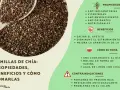 Semillas de chía, fuente de chia proteinas, con propiedades antiinflamatorias y beneficios para saciar el apetito.
