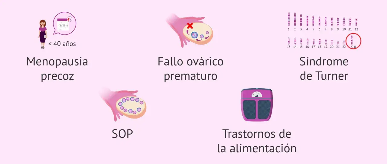 Ilustración sobre menopausia precoz, fallo ovárico, SOP, síndrome de Turner y trastornos alimentarios, causas de falta de estrógenos remedios naturales.