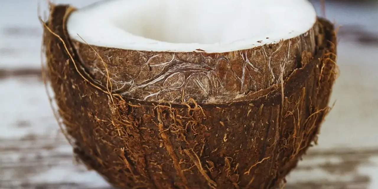 Mitad de coco con pulpa blanca visible. La cáscara fibrosa y marrón resalta las propiedades del coco, un tesoro tropical.