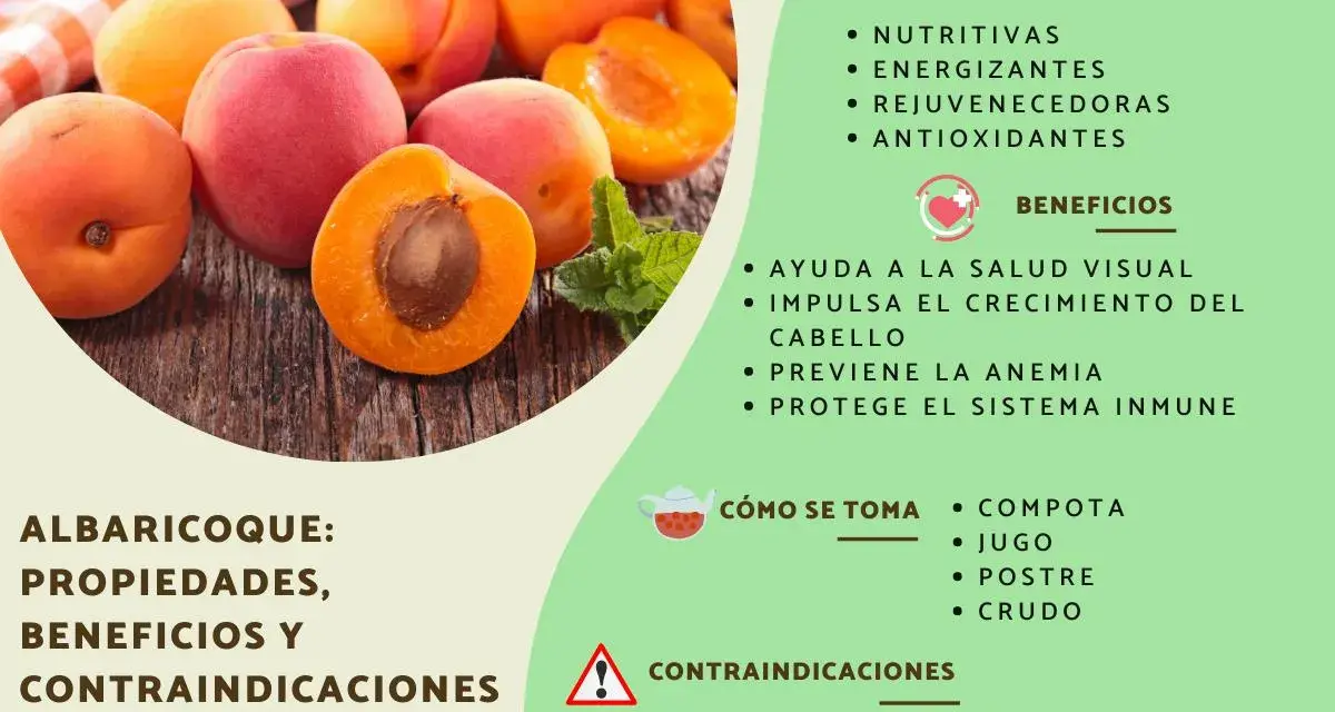 Albaricoques frescos y jugosos, destacando sus propiedades nutritivas, energizantes y antioxidantes. Beneficios para la vista, cabello, anemia y sistema inmune.