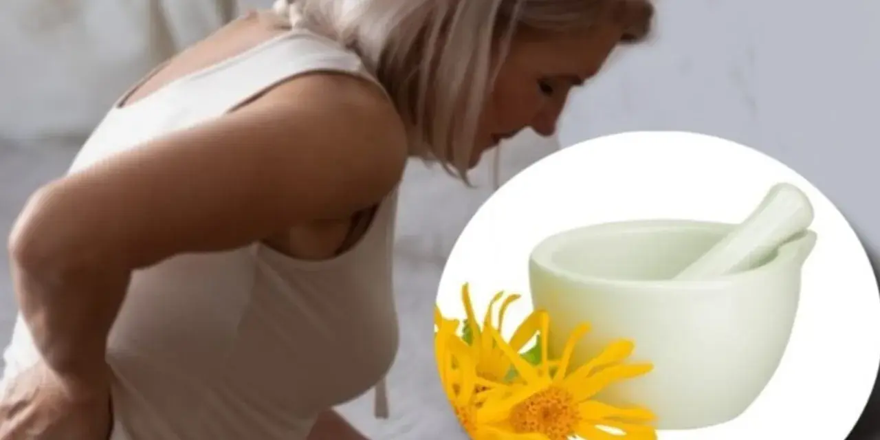 Mujer con dolor de espalda y un mortero con flores amarillas, sugiriendo para qué sirve la arnica.