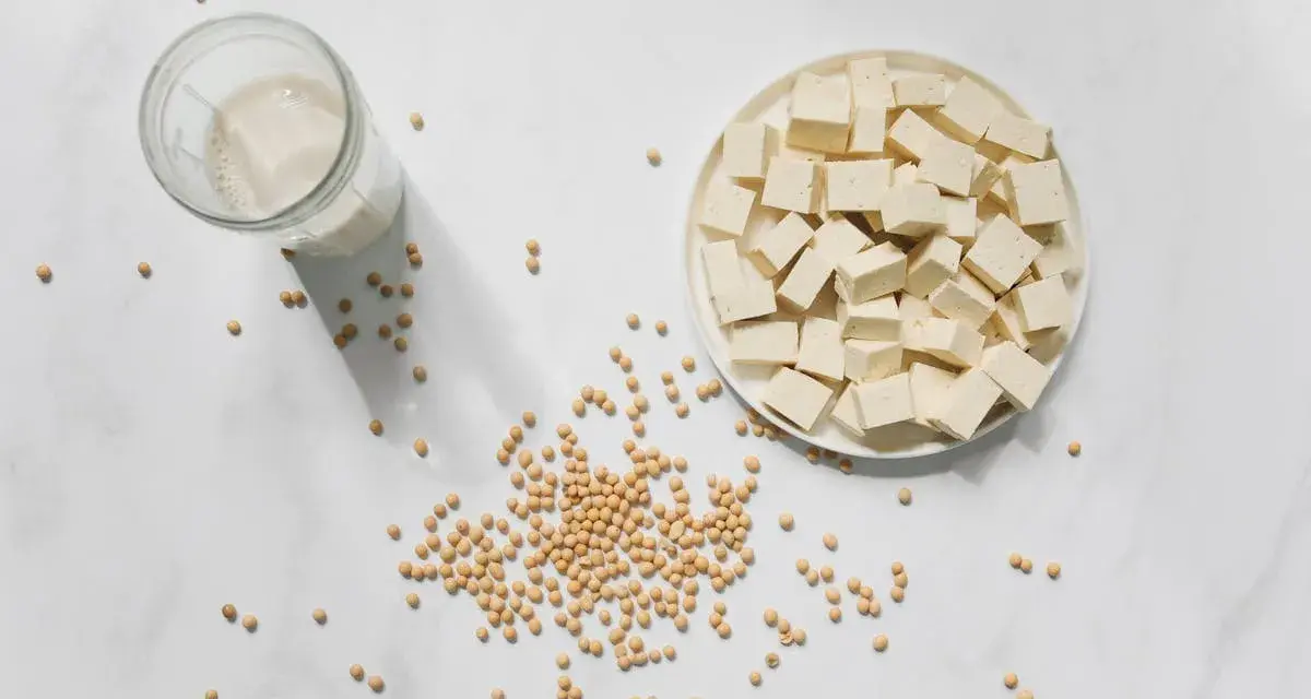 Tofu en cubos, leche de soja y semillas de soja. La nattokinase que es, se deriva de la soja fermentada.