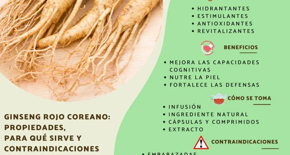Raíces de ginseng rojo coreano. Descubre para qué sirve el ginseng, sus propiedades, beneficios y contraindicaciones.