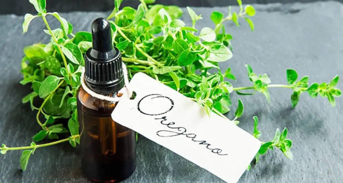 Frasco con cuentagotas de aceite de orégano junto a un manojo de hierbas frescas. La etiqueta dice "Oregano".