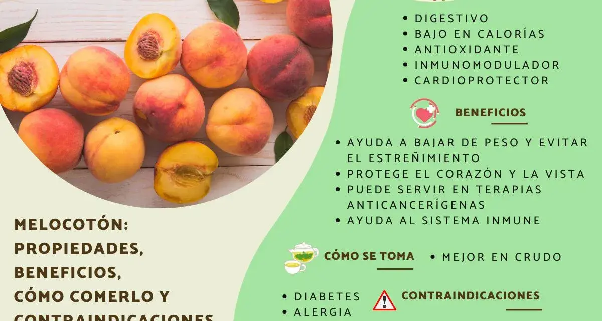 Melocotones frescos y jugosos, destacando sus propiedades digestivas, antioxidantes y beneficios para el corazón.