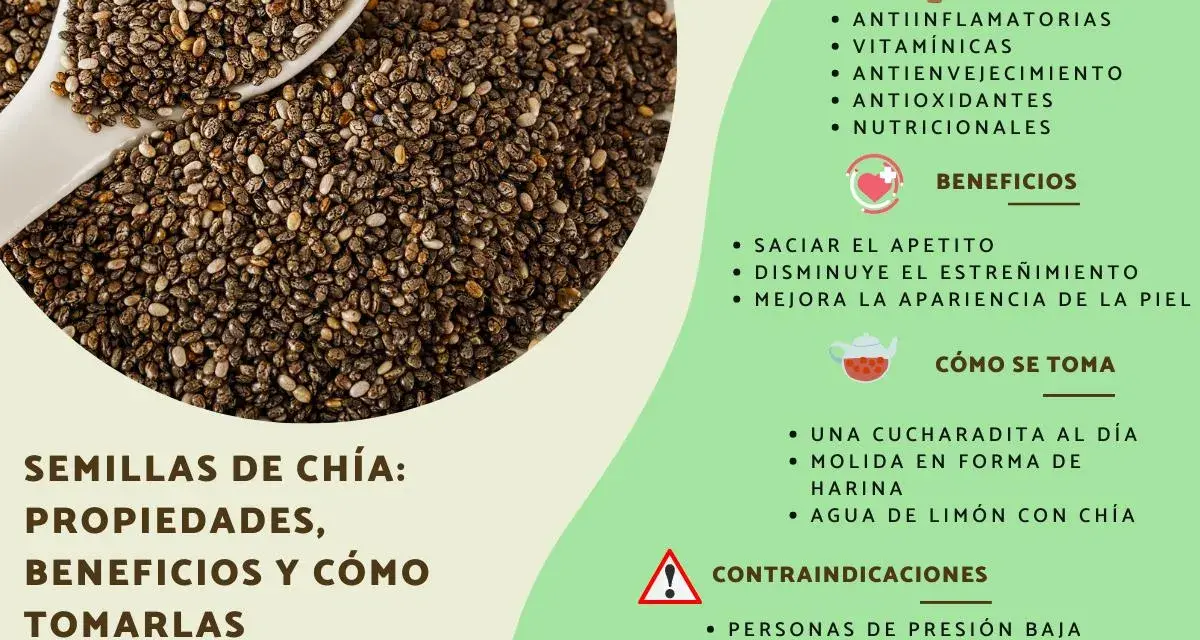Semillas de chía, fuente de chia proteinas, con propiedades antiinflamatorias y beneficios para saciar el apetito.