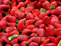 Un montón de fresas rojas y jugosas, deliciosos alimentos con mucha fibra, listas para disfrutar.