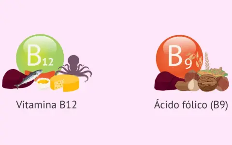 Vitamina B12 (pescado, queso) y ácido fólico (B9) (frutos secos, cereales) para una dieta equilibrada.