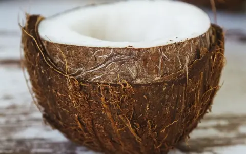 Mitad de coco con pulpa blanca visible. La cáscara fibrosa y marrón resalta las propiedades del coco, un tesoro tropical.