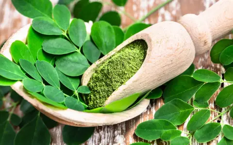 Cuchara de madera con polvo de moringa y hojas frescas. Descubre los moringa beneficios para la mujer, un tesoro natural.