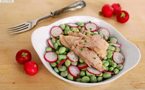 Ensalada de habas tiernas, rabanitos y atún. Una comida con fibra, fresca y saludable, lista para disfrutar.