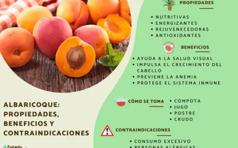 Albaricoques frescos y jugosos, destacando sus propiedades nutritivas, energizantes y antioxidantes. Beneficios para la vista, cabello, anemia y sistema inmune.
