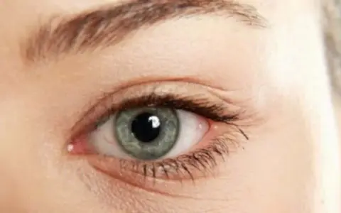 Ojo con iris gris verdoso y finas arrugas debajo de los ojos, que cuentan historias.