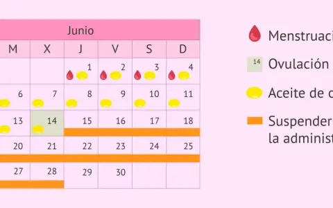 Calendario de junio con ciclos de menstruación, ovulación y uso de aceite de onagra. Indica cuándo suspender la administración para un posible embarazo.