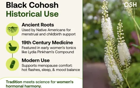 El cohosh negro, usado desde raíces antiguas hasta medicina moderna para el bienestar femenino.