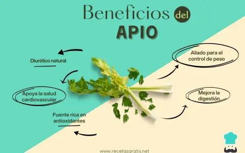 El apio, con sus múltiples propiedades, es un diurético natural, aliado para el control de peso, apoya la salud cardiovascular y mejora la digestión.