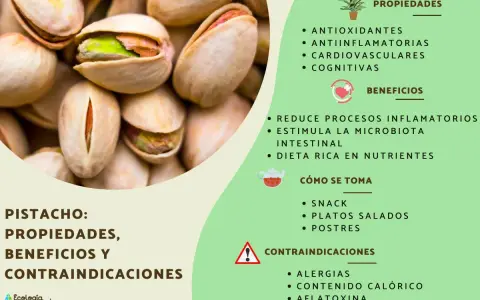 Primer plano de pistachos, un fruto seco con propiedades antioxidantes y antiinflamatorias. Ideal como snack o en platos salados.