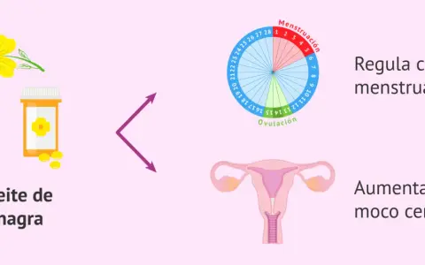 Aceite de onagra para regular la regla. Ayuda a regular el ciclo menstrual y aumenta el moco cervical.