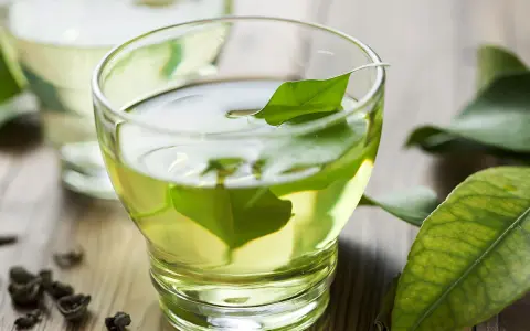 Té verde con hojas frescas, una hierba efectiva para quedar embarazada.