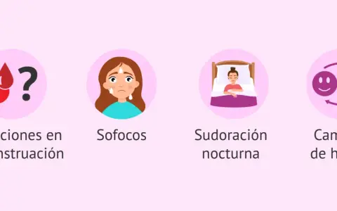 Síntomas de la menopausia tardía: alteraciones menstruales, sofocos, sudoración nocturna y cambios de humor.