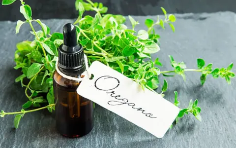 Frasco con cuentagotas de aceite de orégano junto a un manojo de hierbas frescas. La etiqueta dice "Oregano".