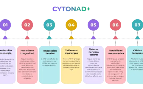 El nicotinamida adenina dinucleótido (NAD+) es crucial para la producción de energía, longevidad, reparación del ADN, telómeros largos, sistema nervioso, estabilidad cromosómica y células inmunes.
