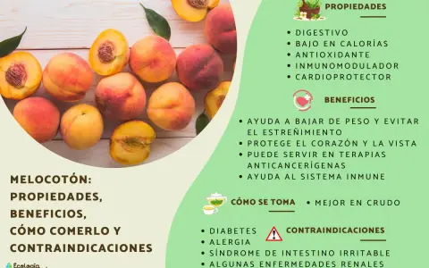 Melocotones frescos y jugosos, destacando sus propiedades digestivas, antioxidantes y beneficios para el corazón.