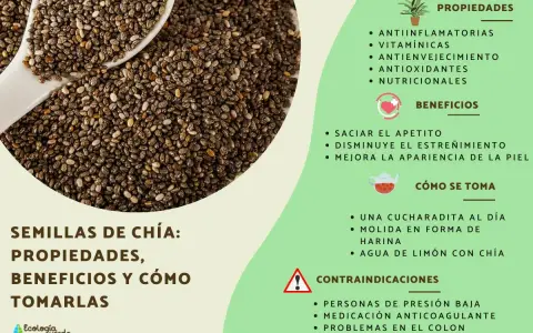 Semillas de chía, fuente de chia proteinas, con propiedades antiinflamatorias y beneficios para saciar el apetito.