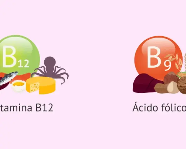 Vitamina B12 (pescado, queso) y ácido fólico (B9) (frutos secos, cereales) para una dieta equilibrada.