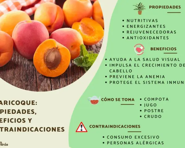 Albaricoques frescos y jugosos, destacando sus propiedades nutritivas, energizantes y antioxidantes. Beneficios para la vista, cabello, anemia y sistema inmune.