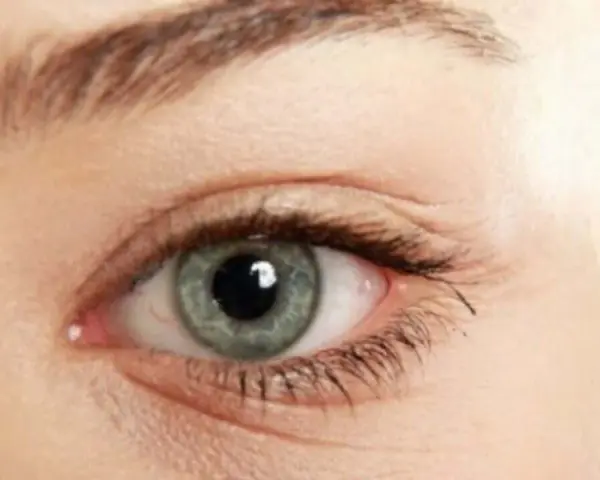Ojo con iris gris verdoso y finas arrugas debajo de los ojos, que cuentan historias.