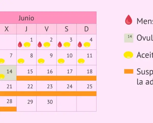 Calendario de junio con ciclos de menstruación, ovulación y uso de aceite de onagra. Indica cuándo suspender la administración para un posible embarazo.