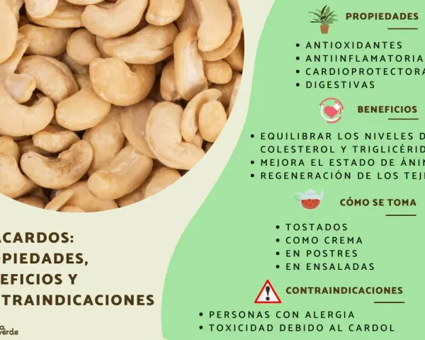 Anacardos: propiedades, beneficios y contraindicaciones. Ayudan a equilibrar el colesterol, siendo un snack saludable, incluso para quienes manejan la diabetes.