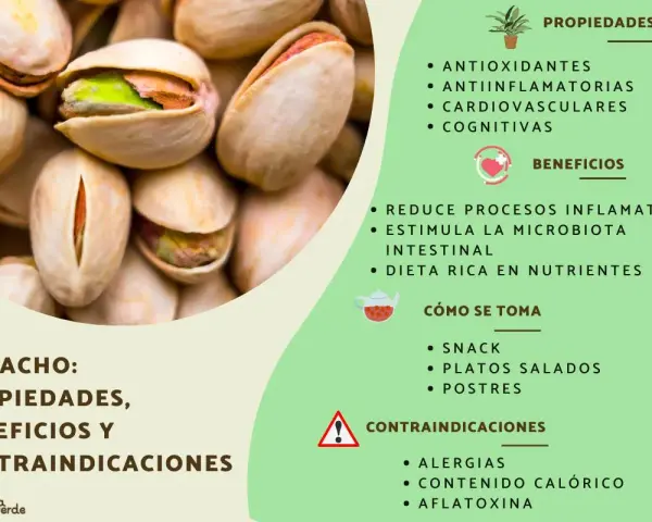 Primer plano de pistachos, un fruto seco con propiedades antioxidantes y antiinflamatorias. Ideal como snack o en platos salados.