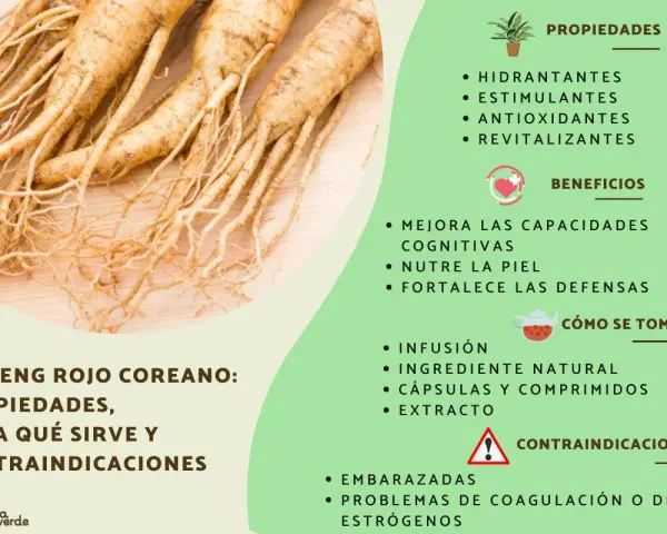 Raíces de ginseng rojo coreano. Descubre para qué sirve el ginseng, sus propiedades, beneficios y contraindicaciones.