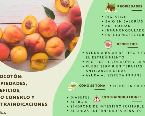 Melocotones frescos y jugosos, destacando sus propiedades digestivas, antioxidantes y beneficios para el corazón.