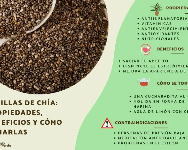 Semillas de chía, fuente de chia proteinas, con propiedades antiinflamatorias y beneficios para saciar el apetito.