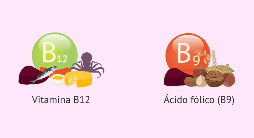 Vitamina B12 (pescado, queso) y ácido fólico (B9) (frutos secos, cereales) para una dieta equilibrada.