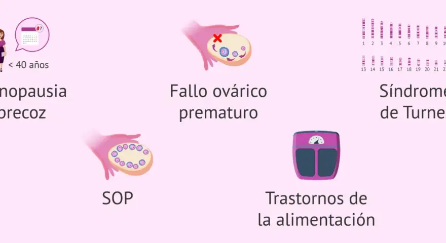 Ilustración sobre menopausia precoz, fallo ovárico, SOP, síndrome de Turner y trastornos alimentarios, causas de falta de estrógenos remedios naturales.