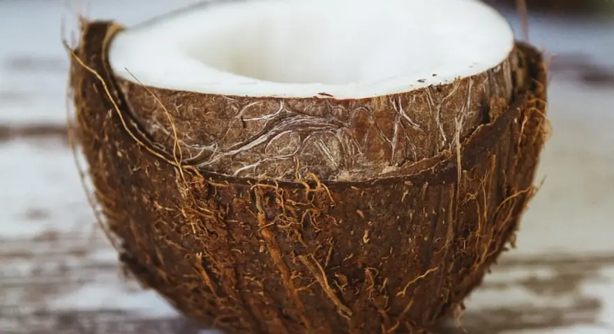 Mitad de coco con pulpa blanca visible. La cáscara fibrosa y marrón resalta las propiedades del coco, un tesoro tropical.