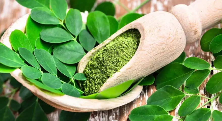 Cuchara de madera con polvo de moringa y hojas frescas. Descubre los moringa beneficios para la mujer, un tesoro natural.