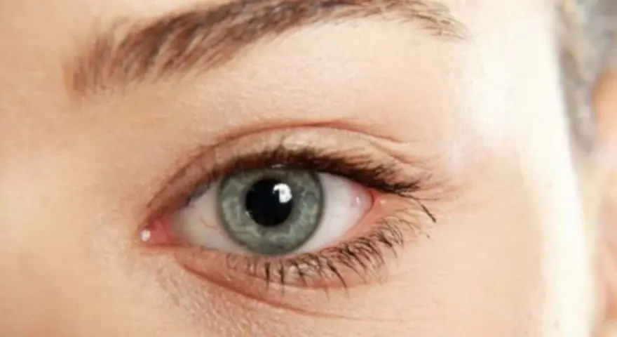 Ojo con iris gris verdoso y finas arrugas debajo de los ojos, que cuentan historias.