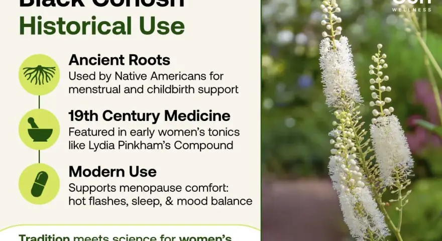 El cohosh negro, usado desde raíces antiguas hasta medicina moderna para el bienestar femenino.